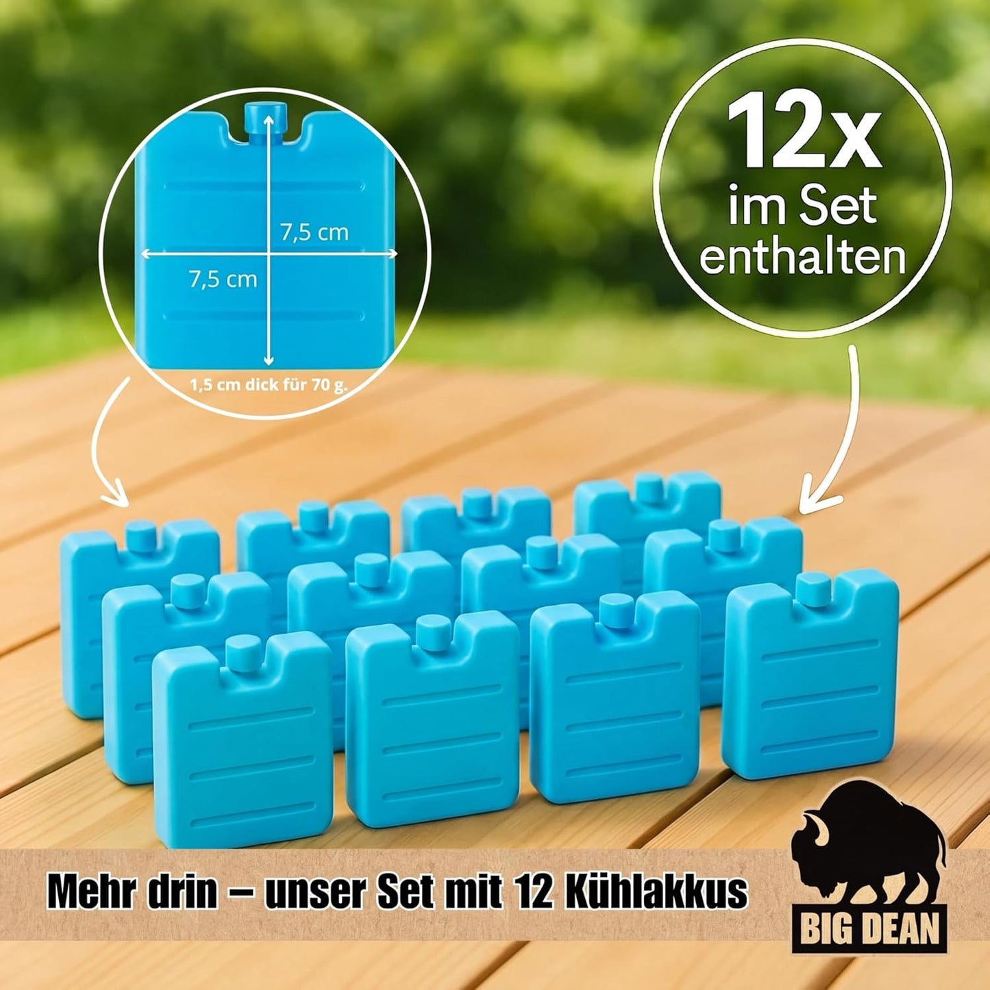 Kühlbox mit 12 Kühlakkus