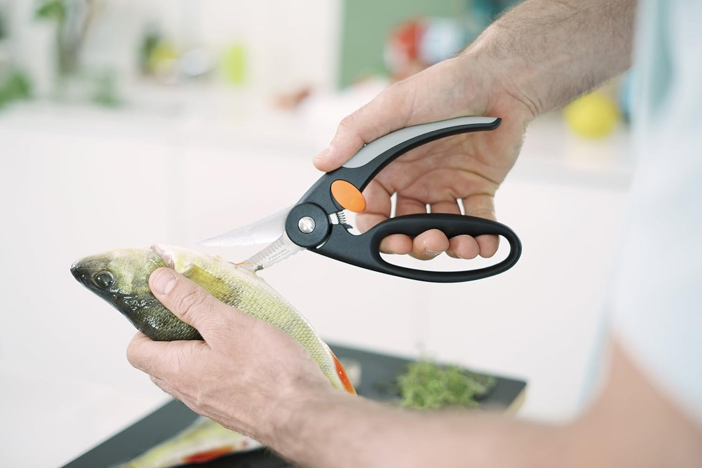 Fischschere, Fischschere