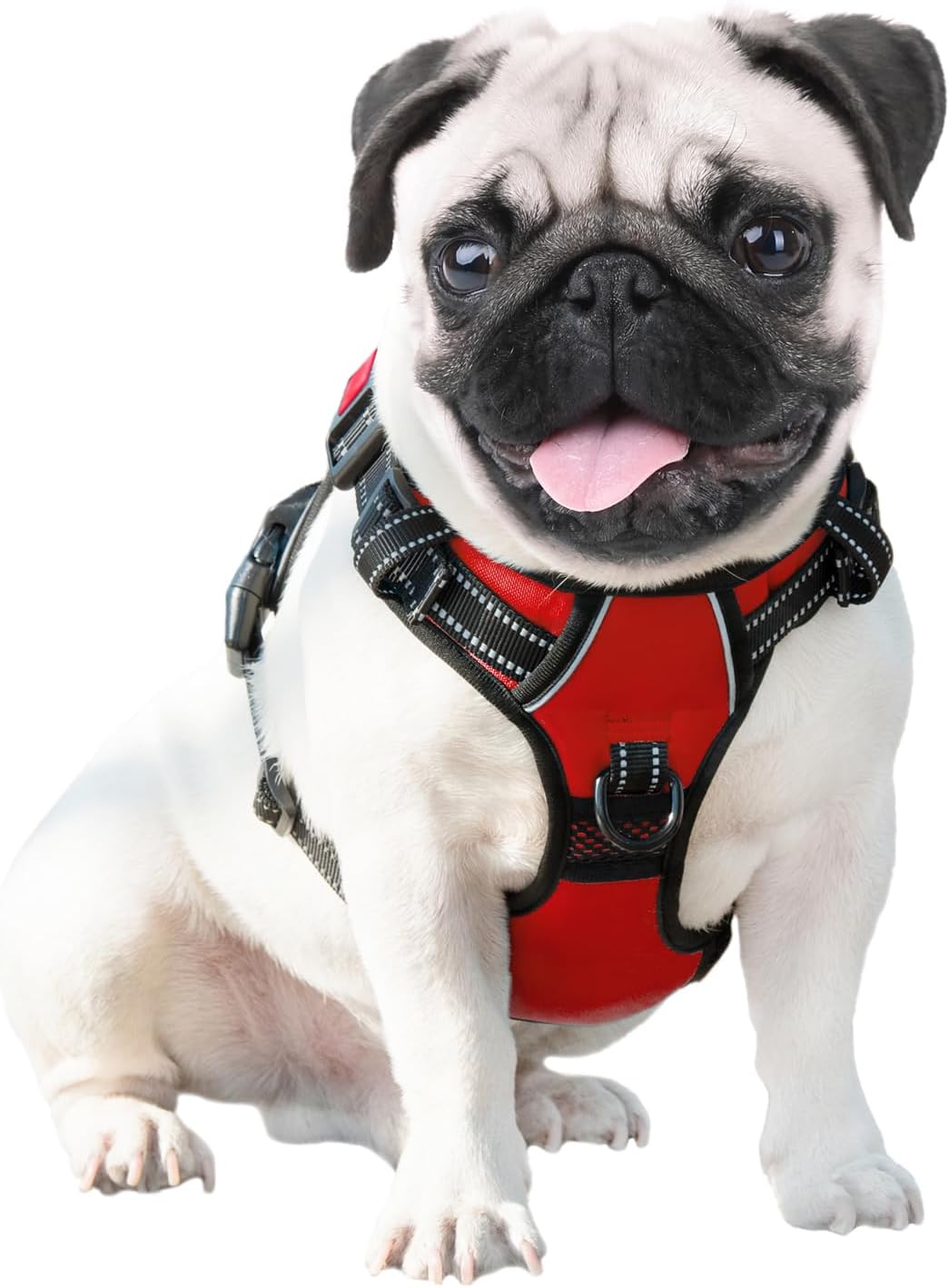 Hundegeschirr, Rot|S