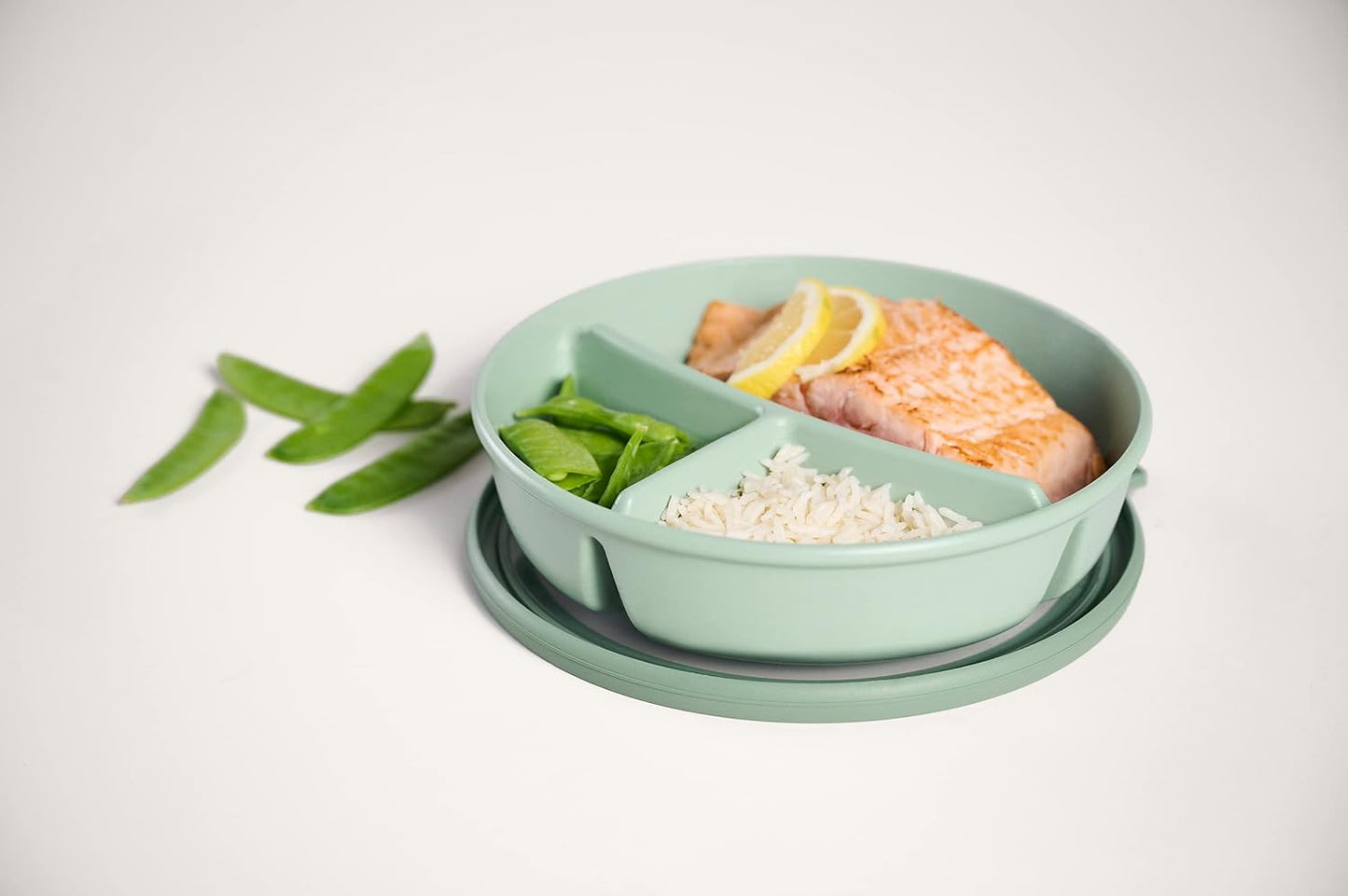 Bento Box Cirqula, Nordic Sage / Single