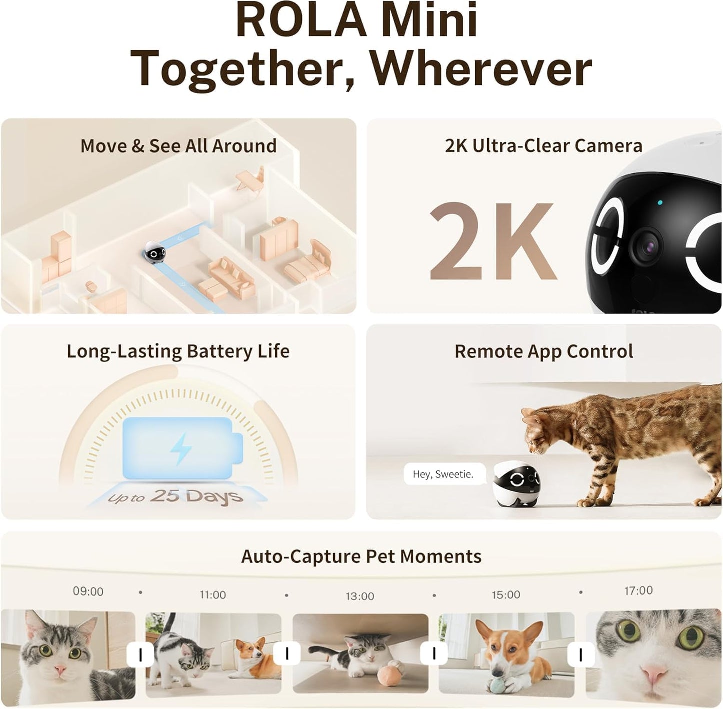 Rola Mini Companion Robot