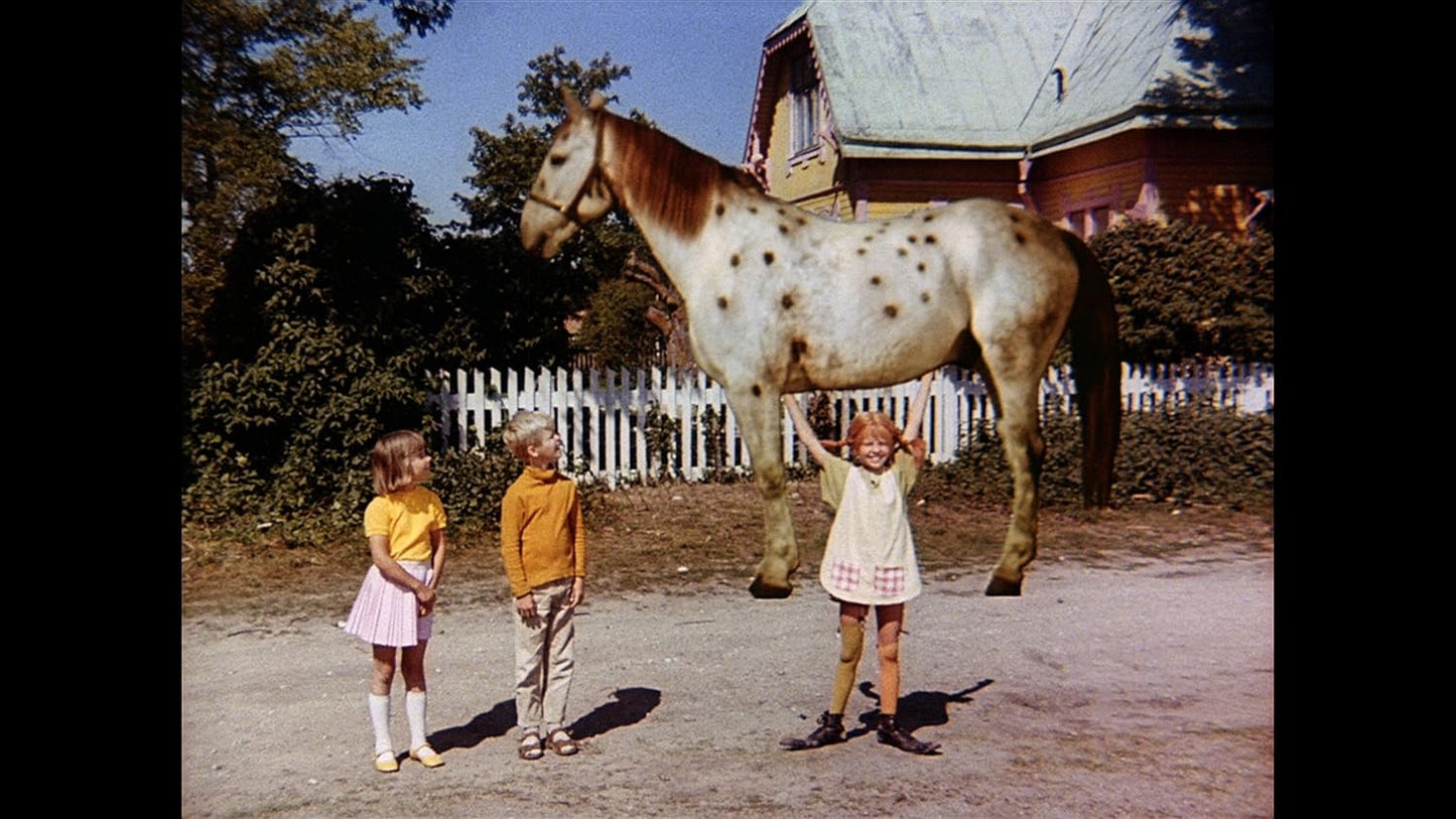 Pippi Langstrumpf / Michel aus Lönneberga, DVD