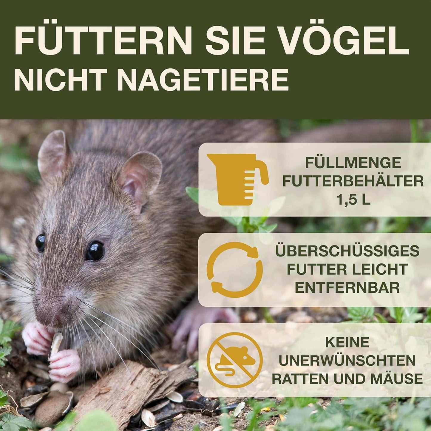 Vogelfutterhaus Davos, Grün Davos