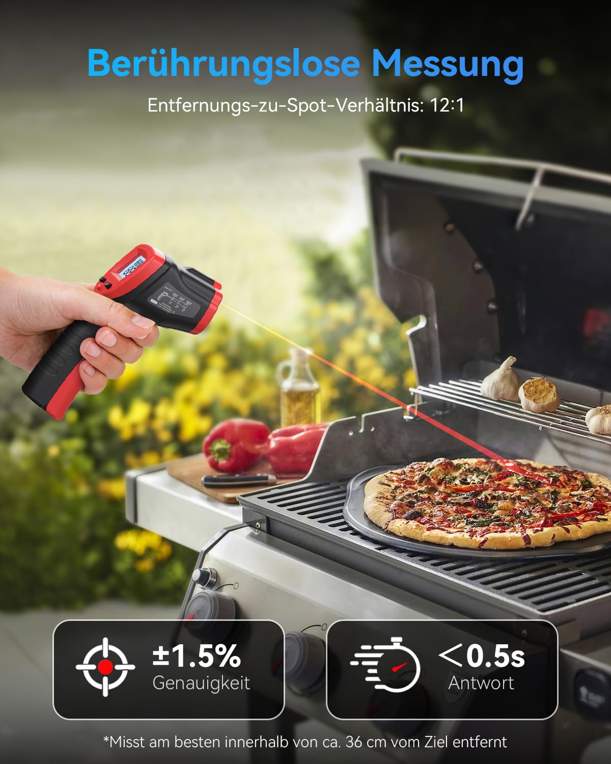 Infrarot-Thermometer WT320, WT320