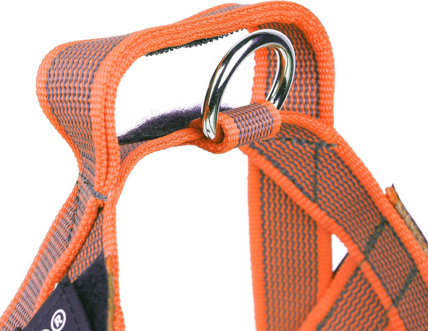 Color & Gray - Beltgeschirr für Hunde, S / Mini orange-grau
