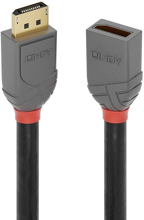 DisplayPort — DisplayPort