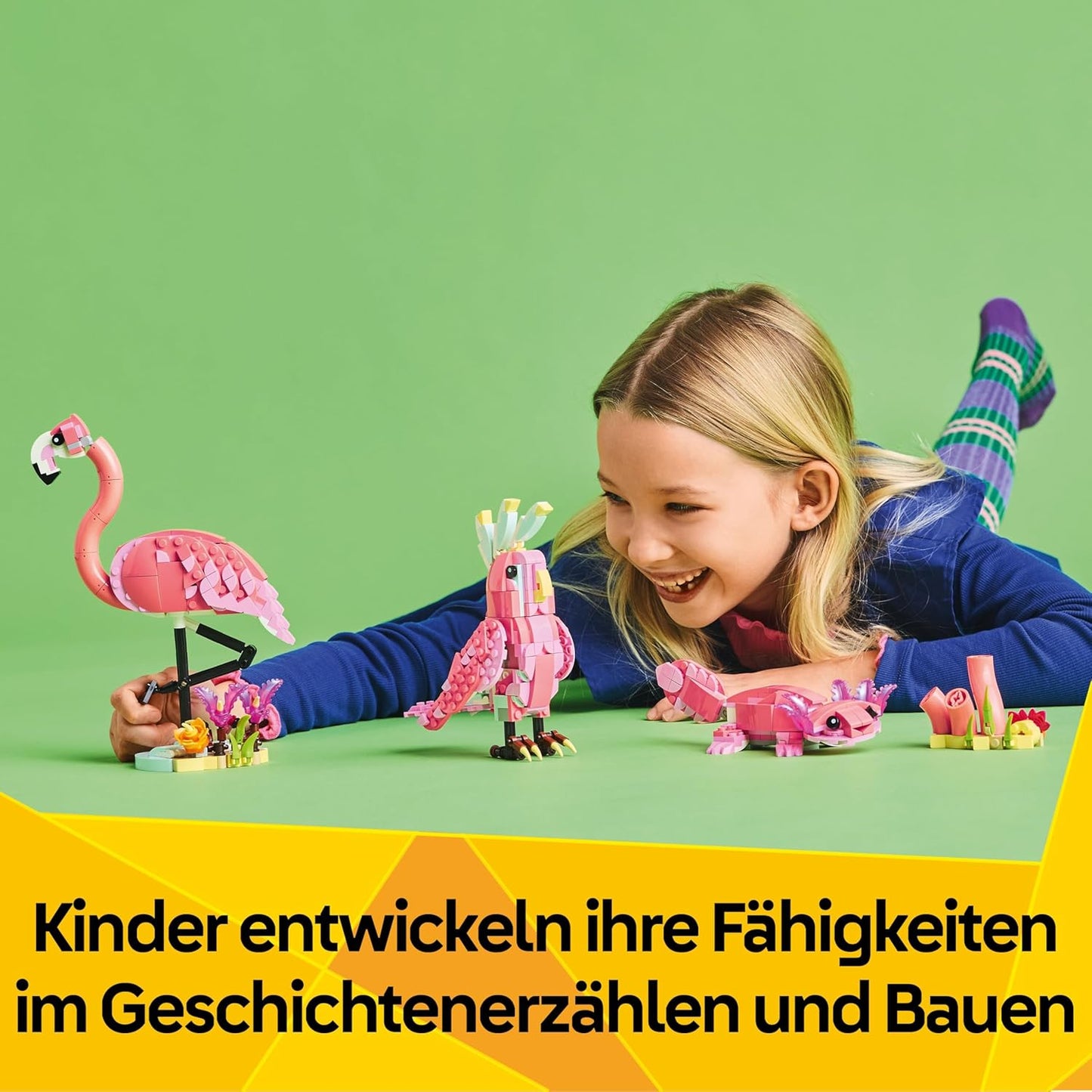 Wilde Tiere: Rosa Flamingo