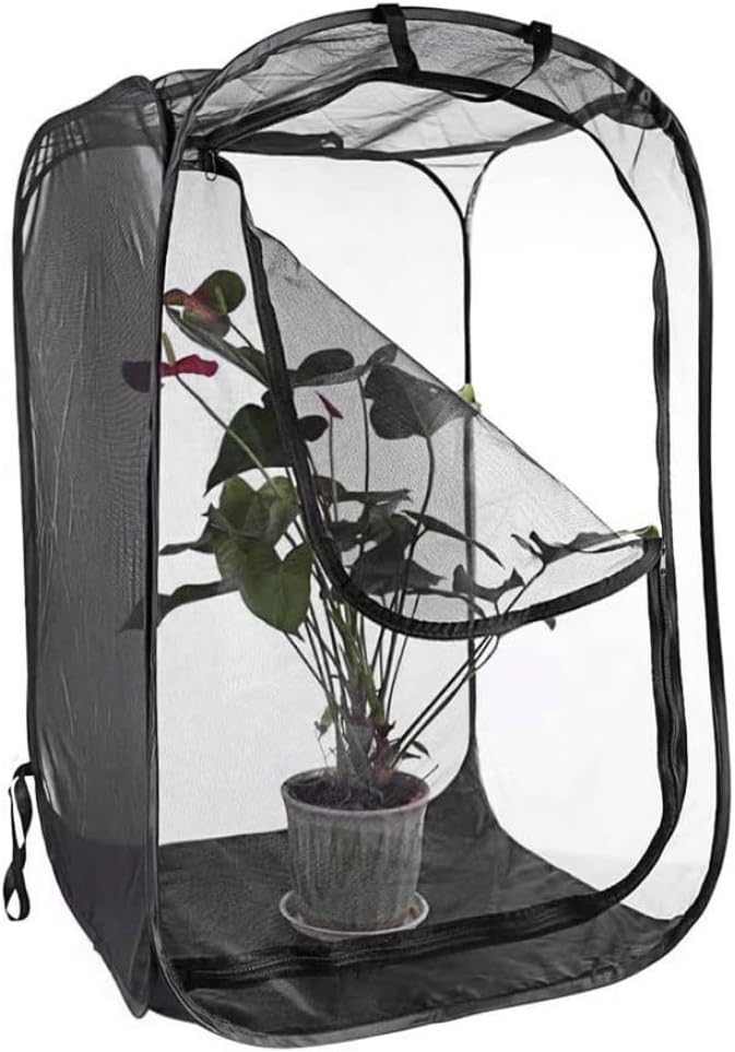 Schmetterlingskäfig, Stil3