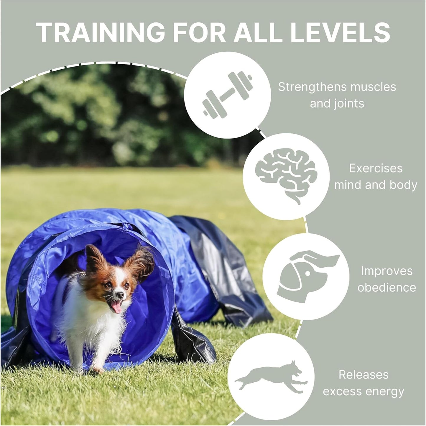 Hundetunnel für Agility Training, Blau ø 40 cm/2 m
