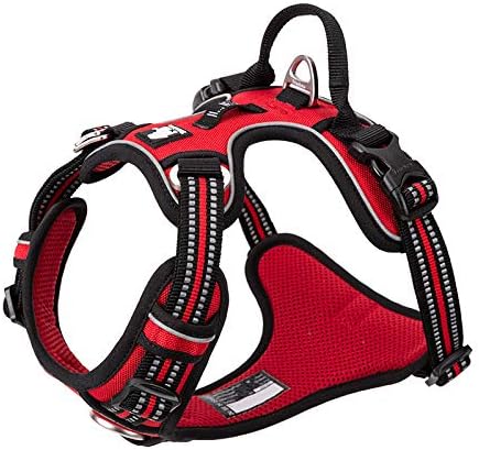 Truelove No Pull Hundegeschirr TLH56512, reflektierend, verstellbar, M Red