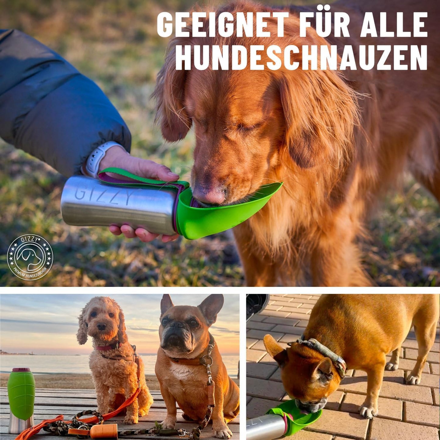 Trinkflasche für Hunde für unterwegs, Apfelgrün 500 ml