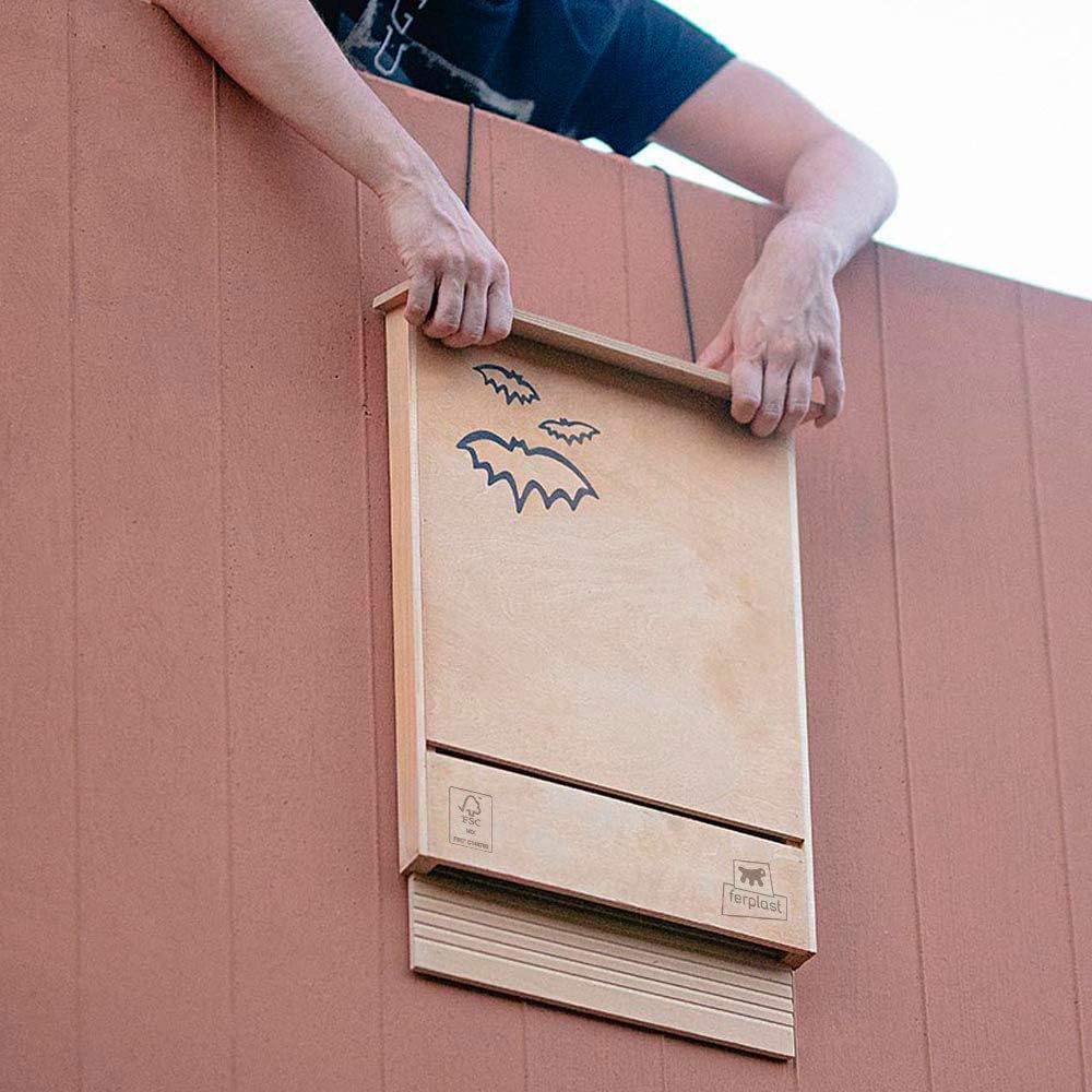 Fledermaushäuschen