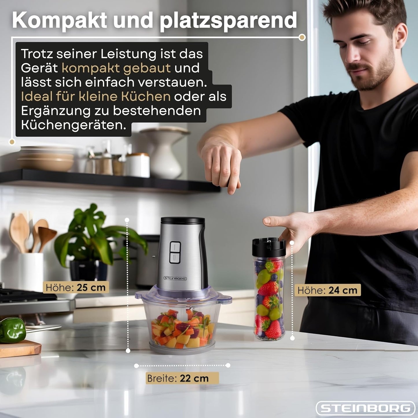 2in1 Standmixer & Multizerkleinerer Set