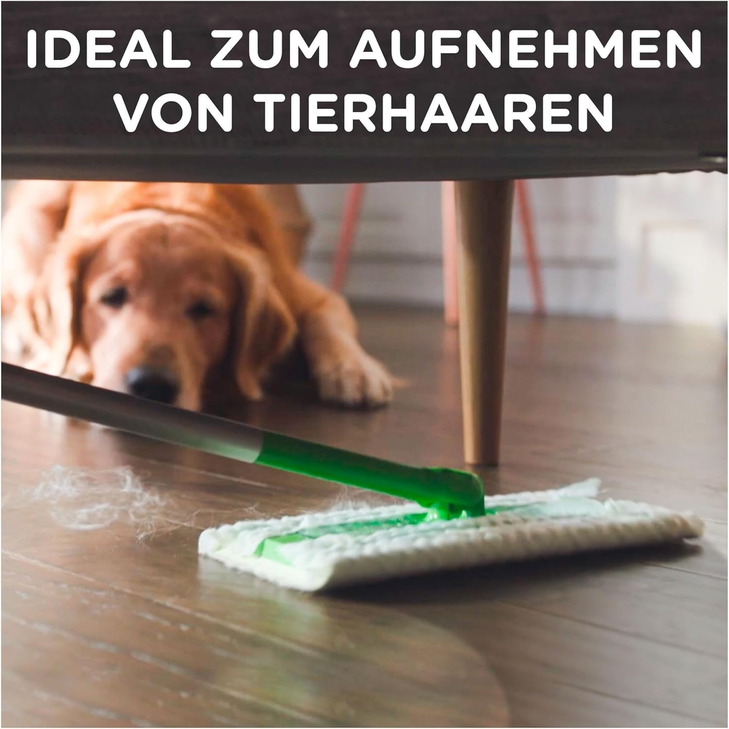 2in1 Bodenwischer-Kit, Starterset (Stab + 8xDry + Griff + 1xTuch)