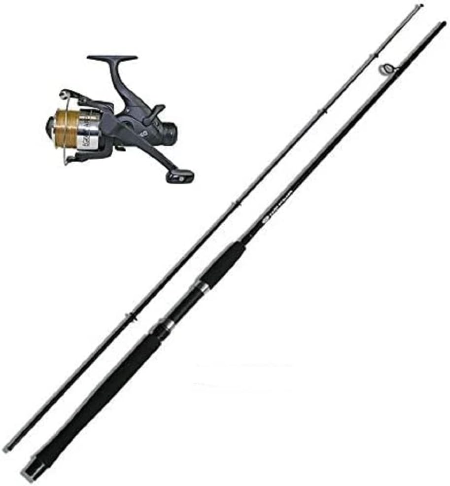 Karpfenrute Set