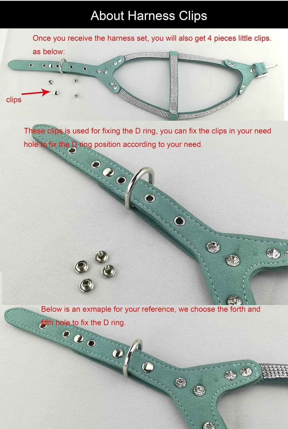 Hundehalsband Set mit 120 cm Leine und Brustgeschirr, L Blau