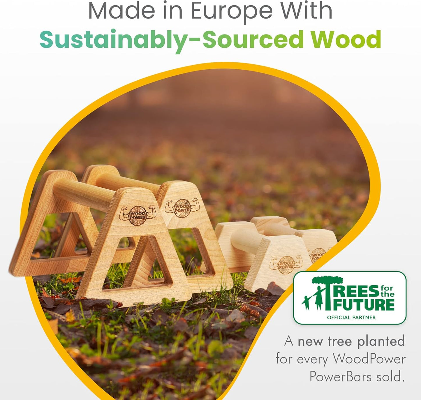 PowerBars Holz-Parallettes, XL + XS, Classic