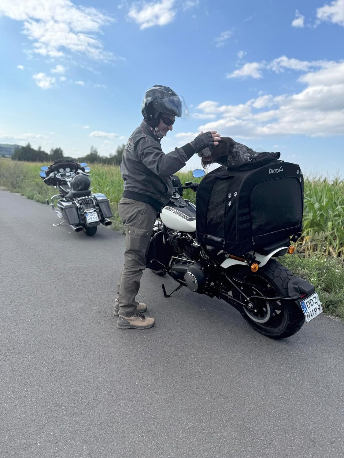 Motorrad-Haustiertasche für Hunde und Katzen, XL (bis zu 36 kg)