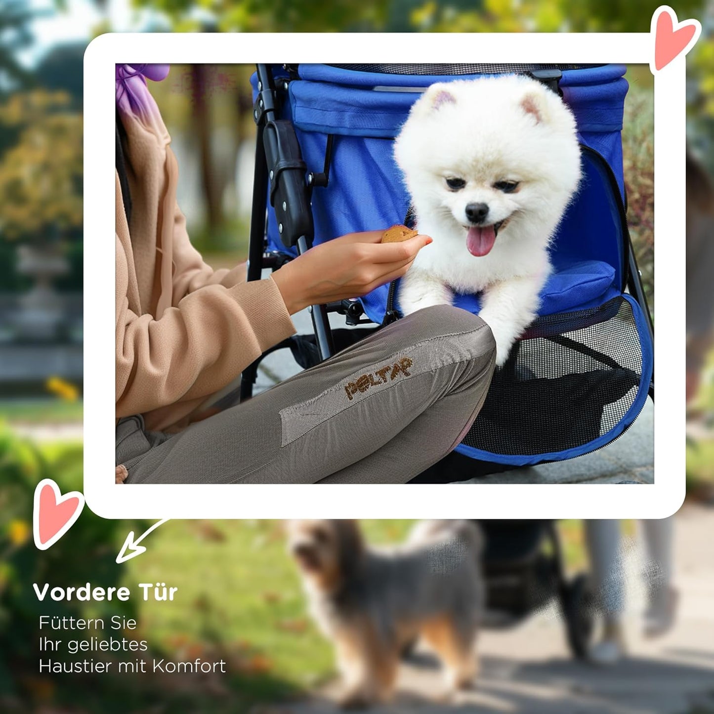 Hundebuggy mit Klappfunktion für kleine Hunde und Katzen, Blau