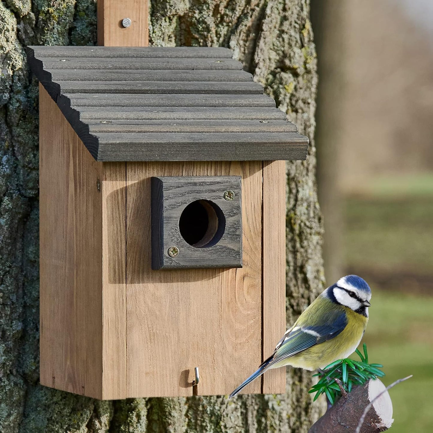 Nistkasten für Wildvögel aus Massivholz, Nistkasten Braun