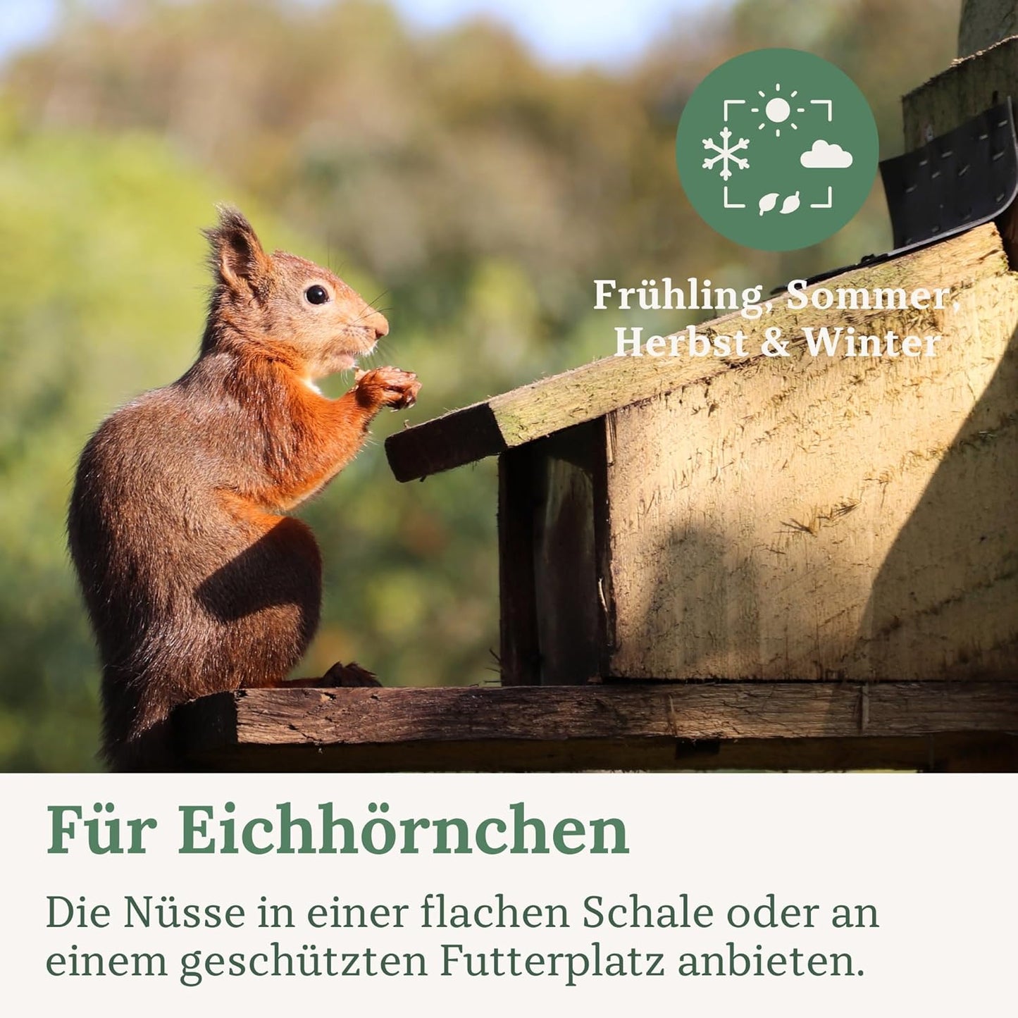 Eichhörnchen Nussmix-Futter, Nussmix
