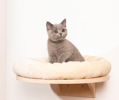 Wandliegebett Dahlia für Katzen, Creme