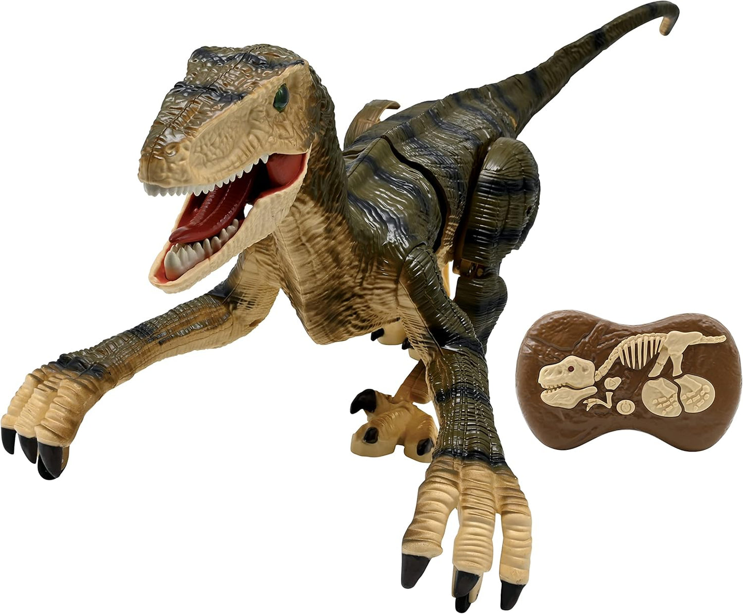 RC Raptor Dinosaurier mit Fernbedienung, DINO01