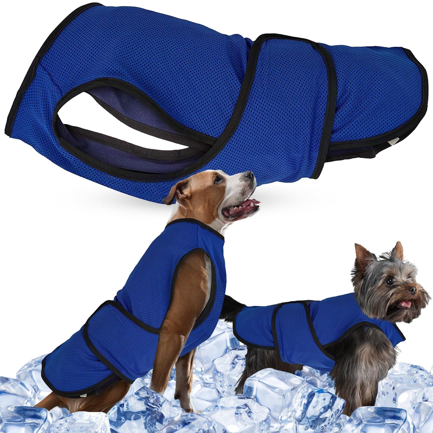 Hundemantel & Kühlweste für kleine Hunde, L Blau