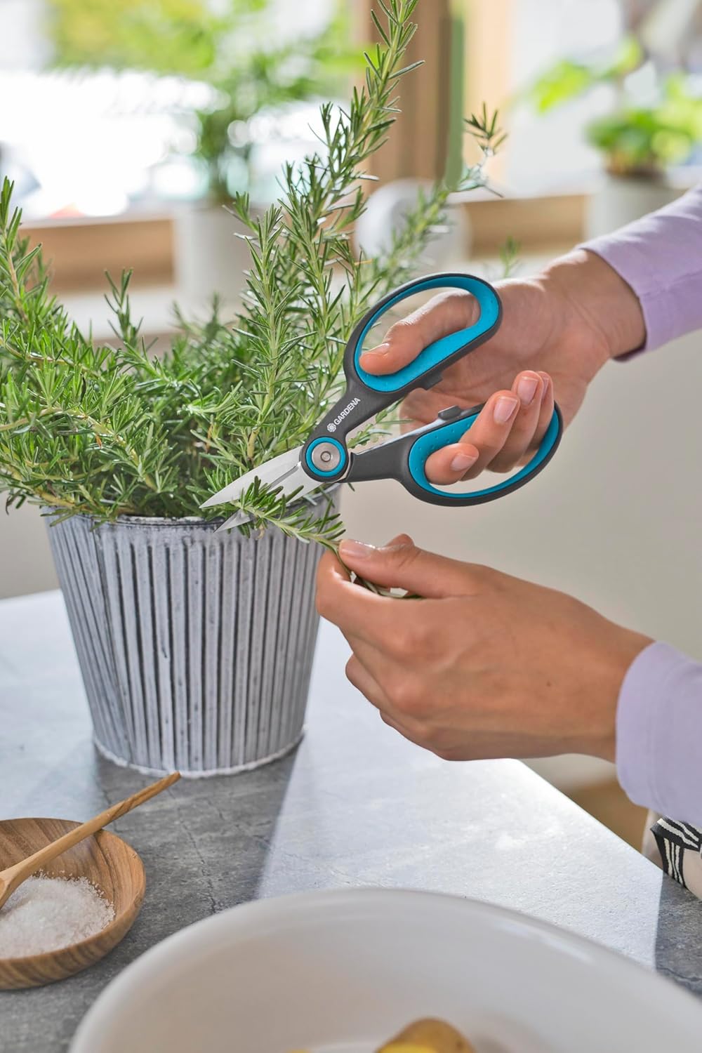 HerbCut