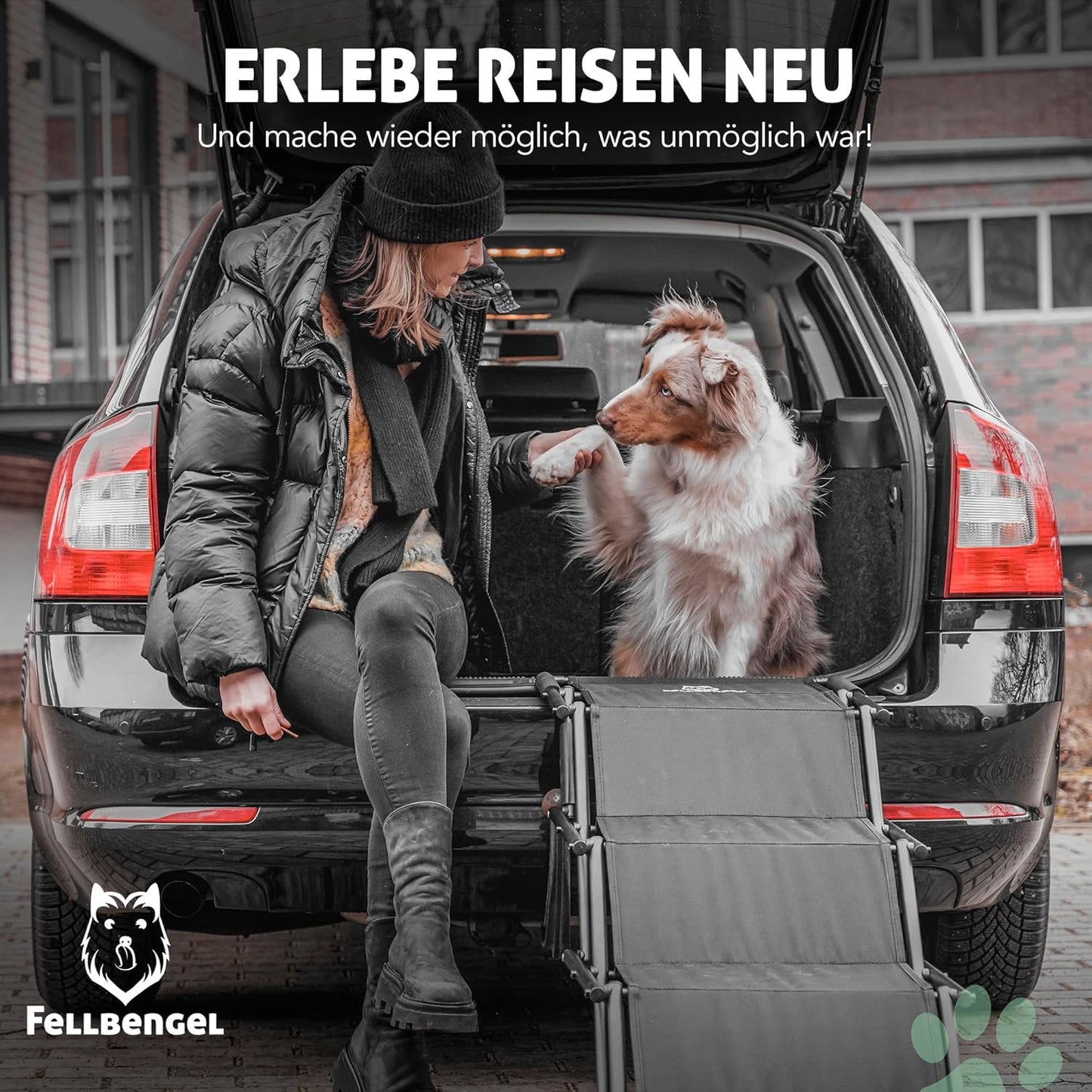 Klappbare Hundetreppe, 4 Stufen Schwarz