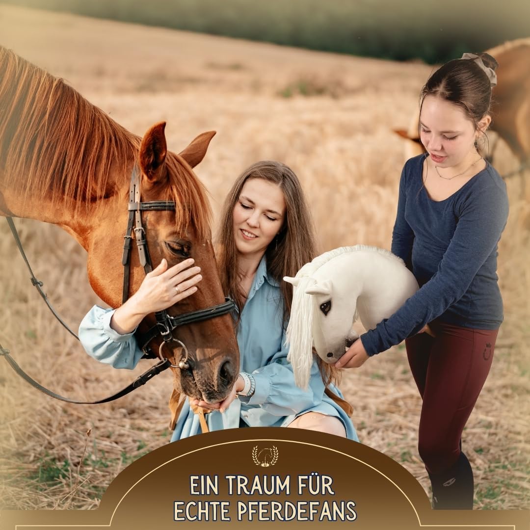 Sunny Steckenpferd Set mit Zubehör, Sunny