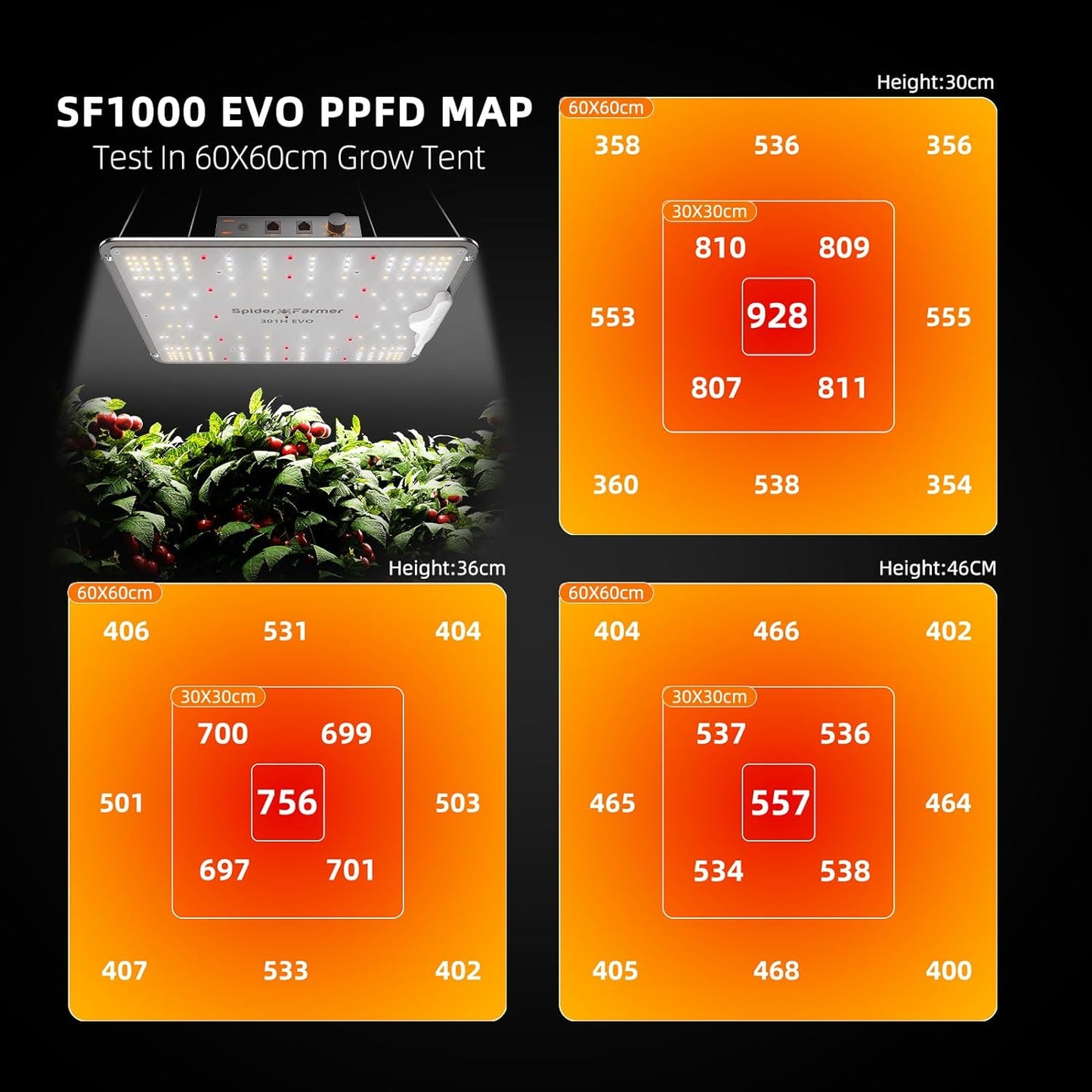 ‎SF1000, SF1000-100W