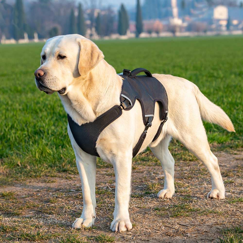 Hundegeschirr Ergotrekking, Schwarz - Extra Large