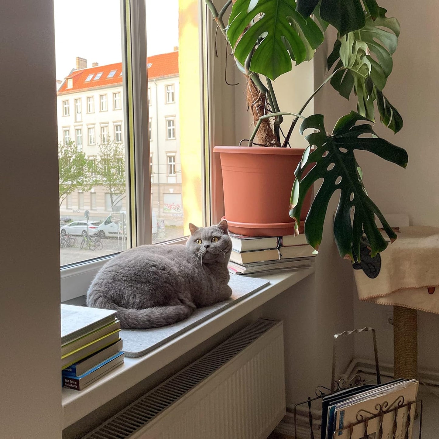 Felty Fensterbrettauflage, Hellgrau