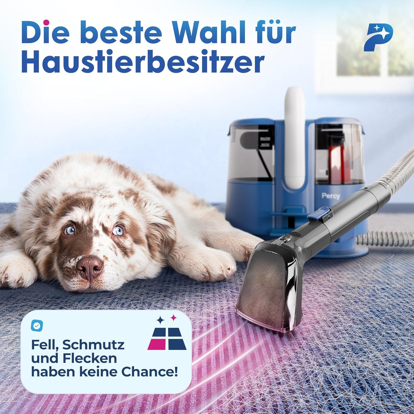 Nass-Trockensauger mit 4 Adaptern, Percy - Blau