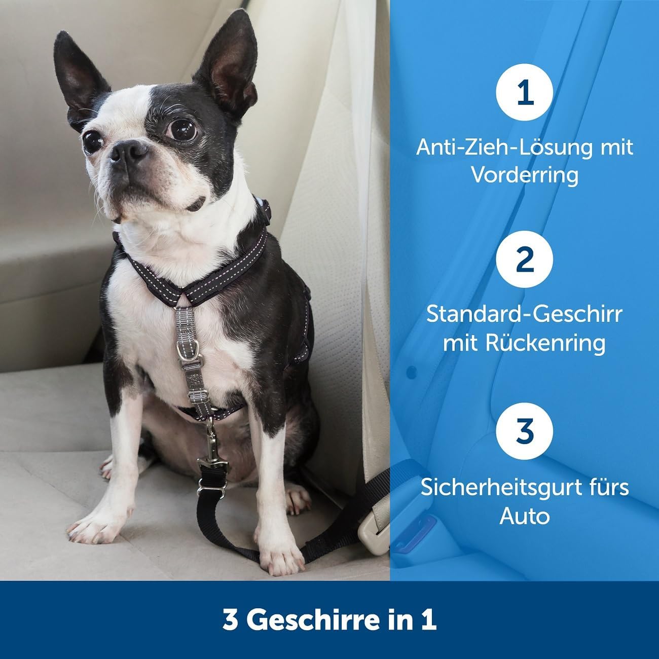 3-in-1-Geschirr und Rückhaltegurt, L