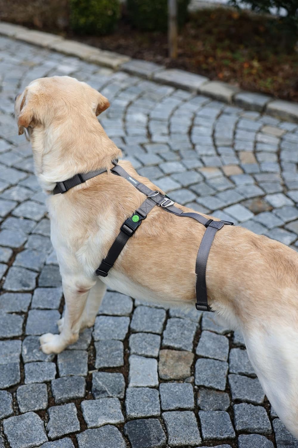 Panikgeschirr/ Hundegeschirr Miami, Grau 55 - 74 cm