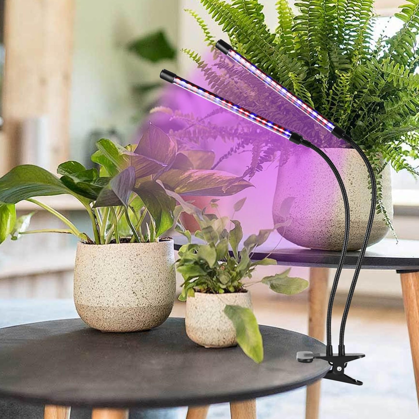 LED Pflanzenlampe mit Timer, 2 Köpfe, Dimmbar