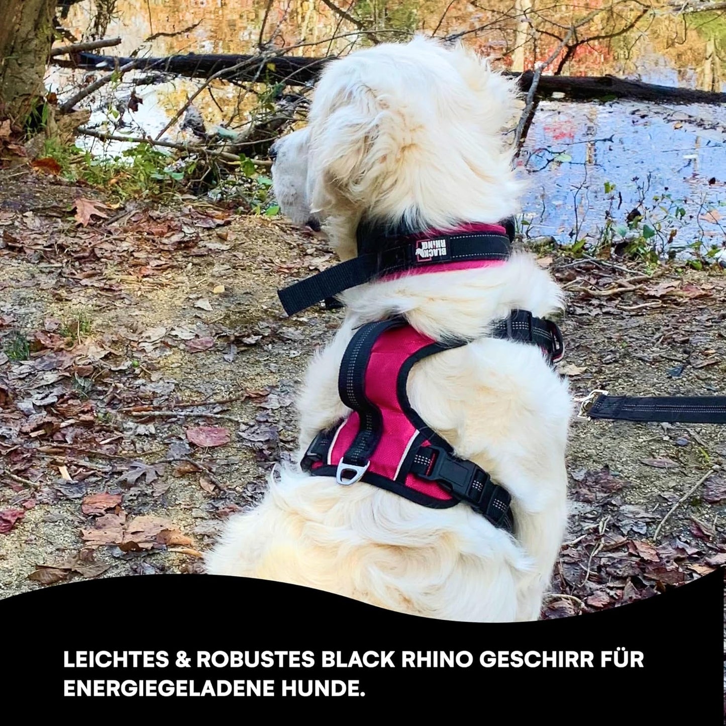 Komfort-Hundegeschirr mit Netzpolsterung, verstellbar, rosa / bl klein