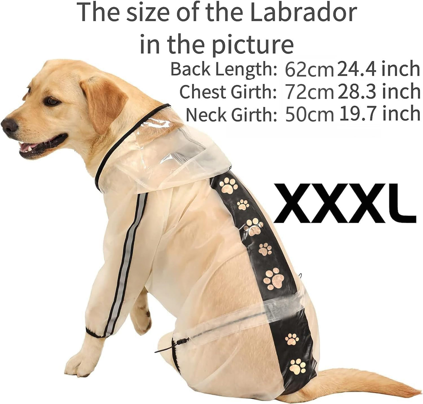 Hunde-Regenjacke mit Kapuze und reflektierenden Streifen, Durchsichtig 3XL
