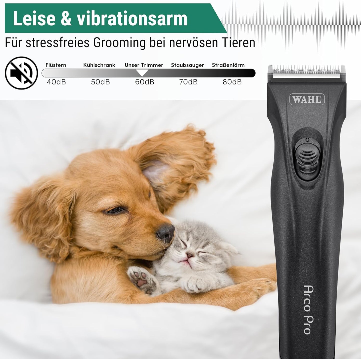 Edition Moser Arco Pro Hundeschermaschine mit Aufsteckkamm Set, 1 Akku