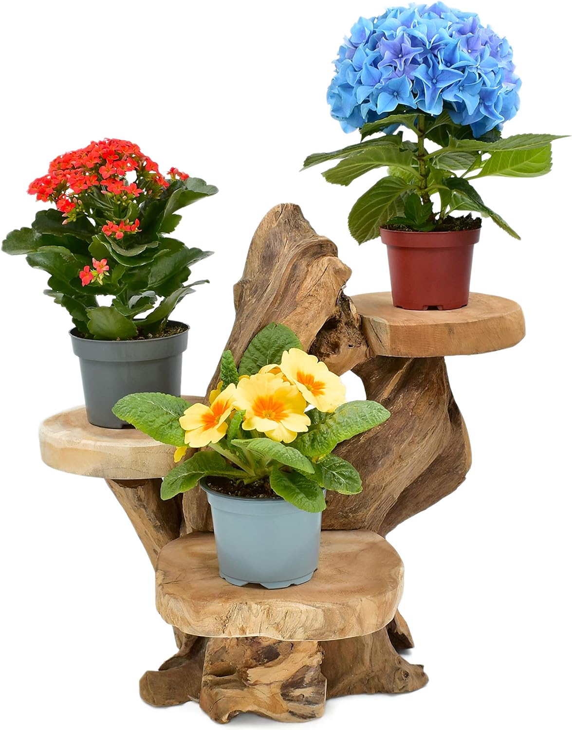 Blumenhocker