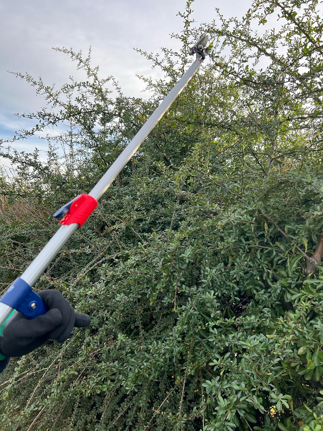 8201LR Teleskop-Bypass-Baumschere, Ausziehbare Gartenschere mit grosser Reichweite