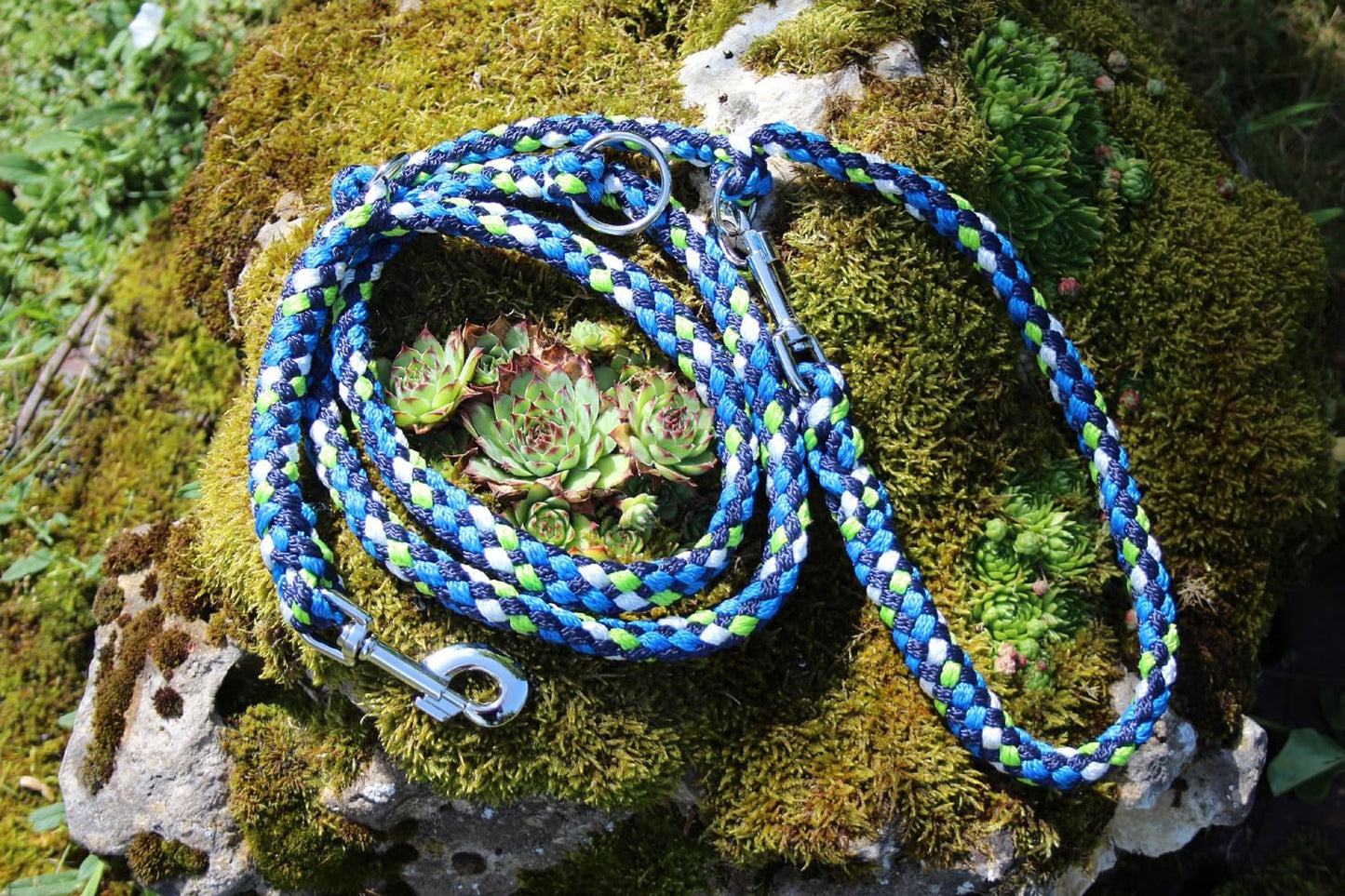 Geflochtene Hundeleine, 4-fach verstellbar, 2,80 m, 2,80m apfelgrün-wasserblau-marineblau-weiß