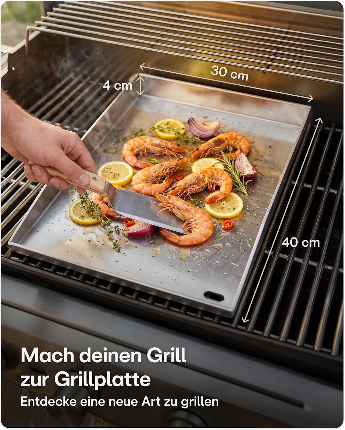 Plancha Grillplatte