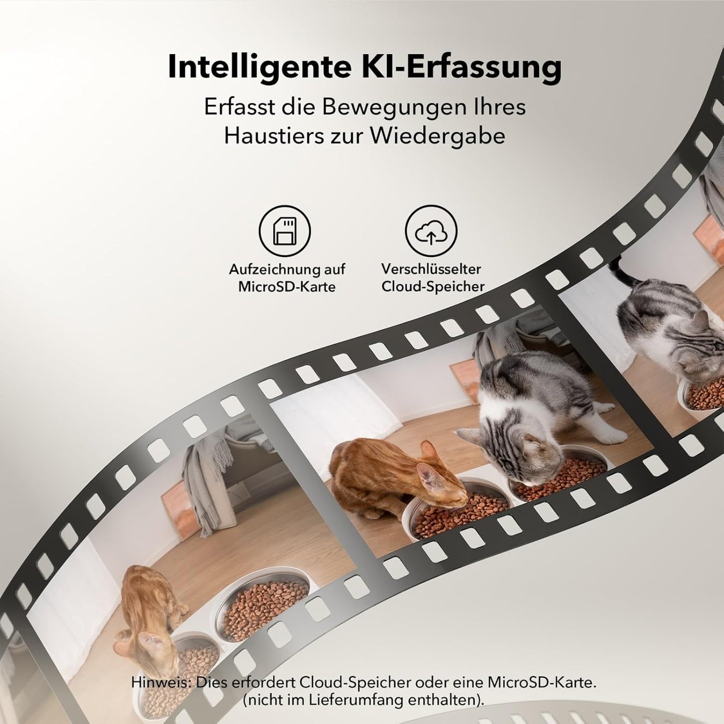 Futterautomat mit Kamera & App-Steuerung