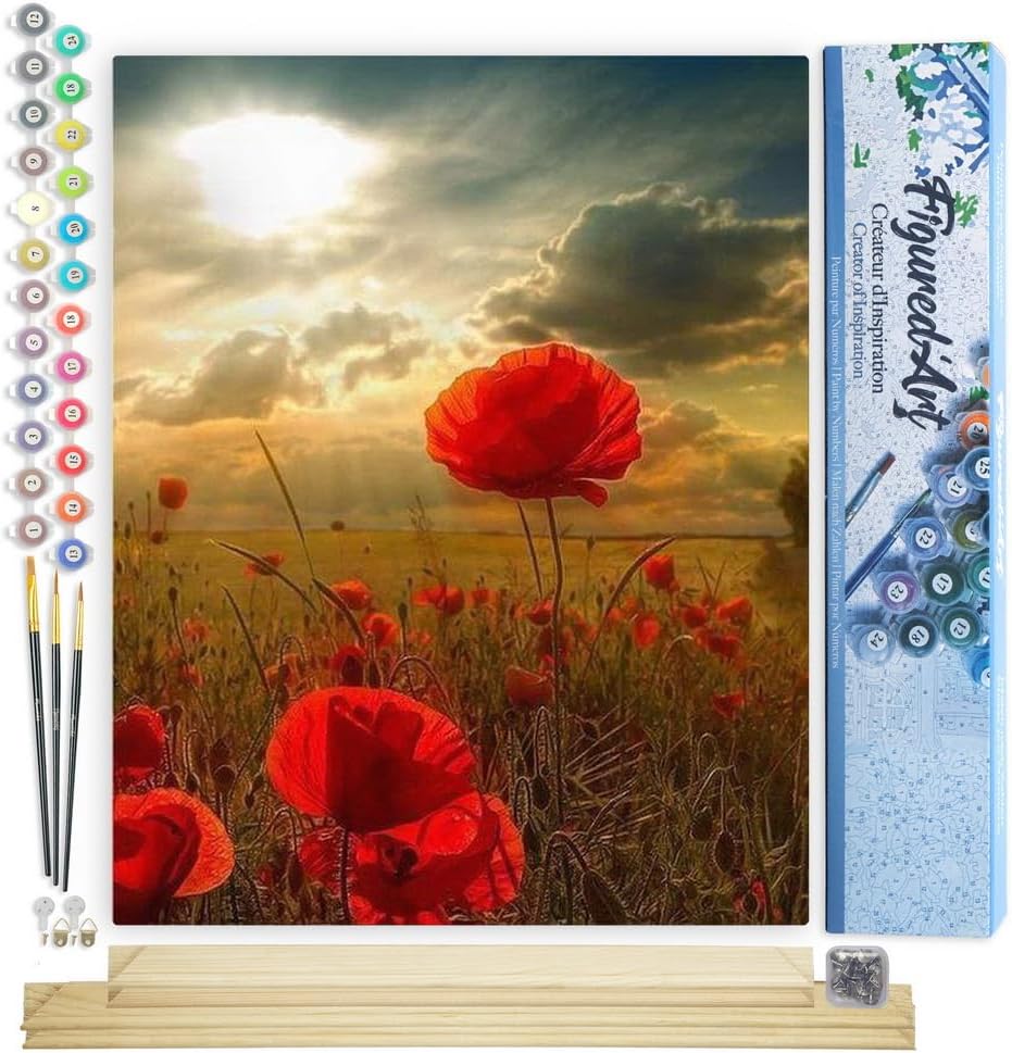Malen nach Zahlen Set Blumen unter der Sonne, Blumen unter der Sonne 40x50cm Mit Keilrahmen (nicht gespannt)
