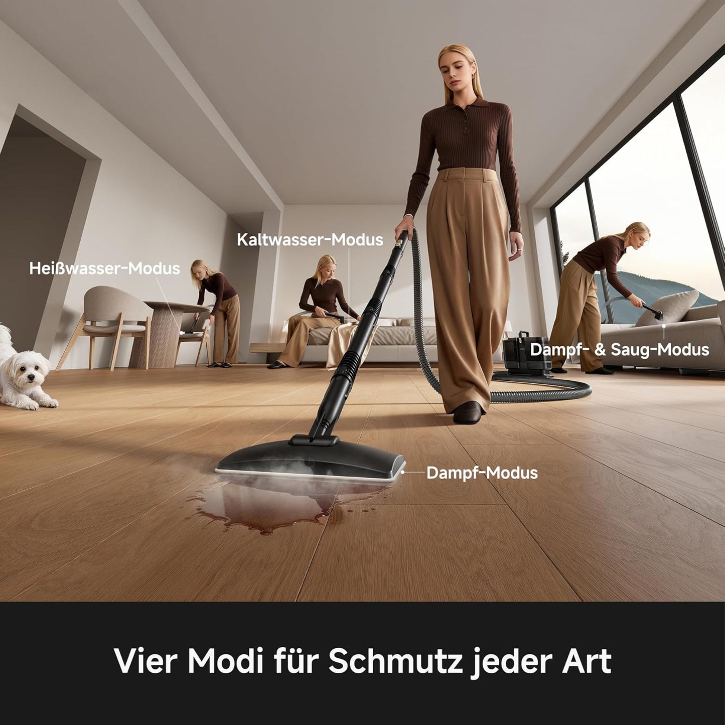 S10 Dampfreiniger mit 9 Aufsätzen