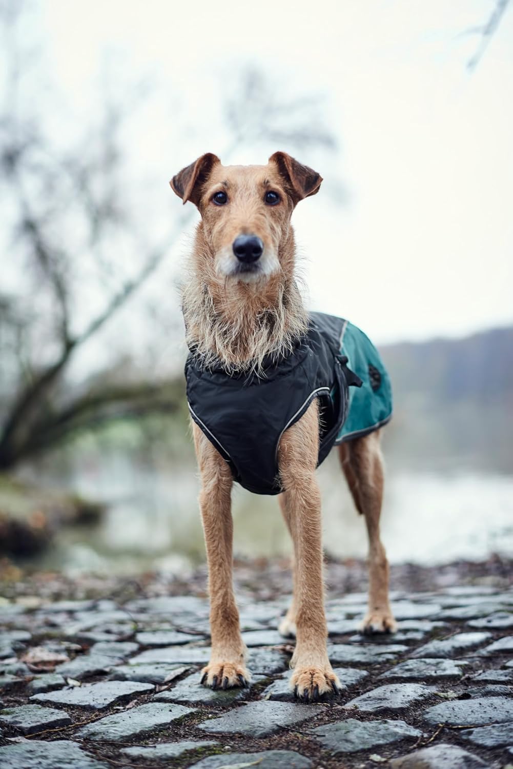 Hundemantel Uppsala Allrounder, 35 anthrazit/petrol