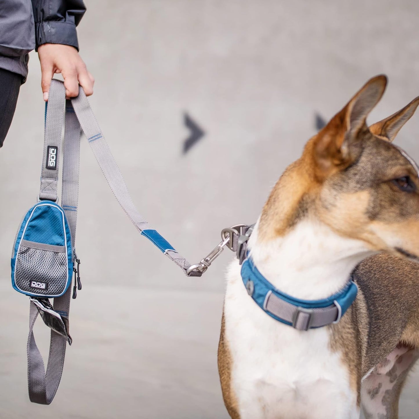V2 Pouch Organizer für Hunde, Schwarz